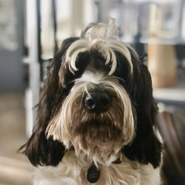 Bram